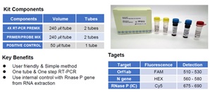 COVID-19 RT-PCR Kit 3