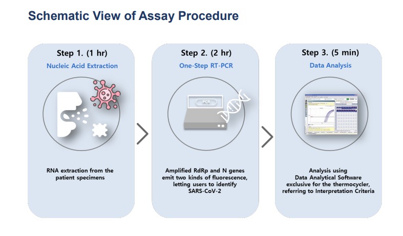 COVID-19 RT-PCR Kit