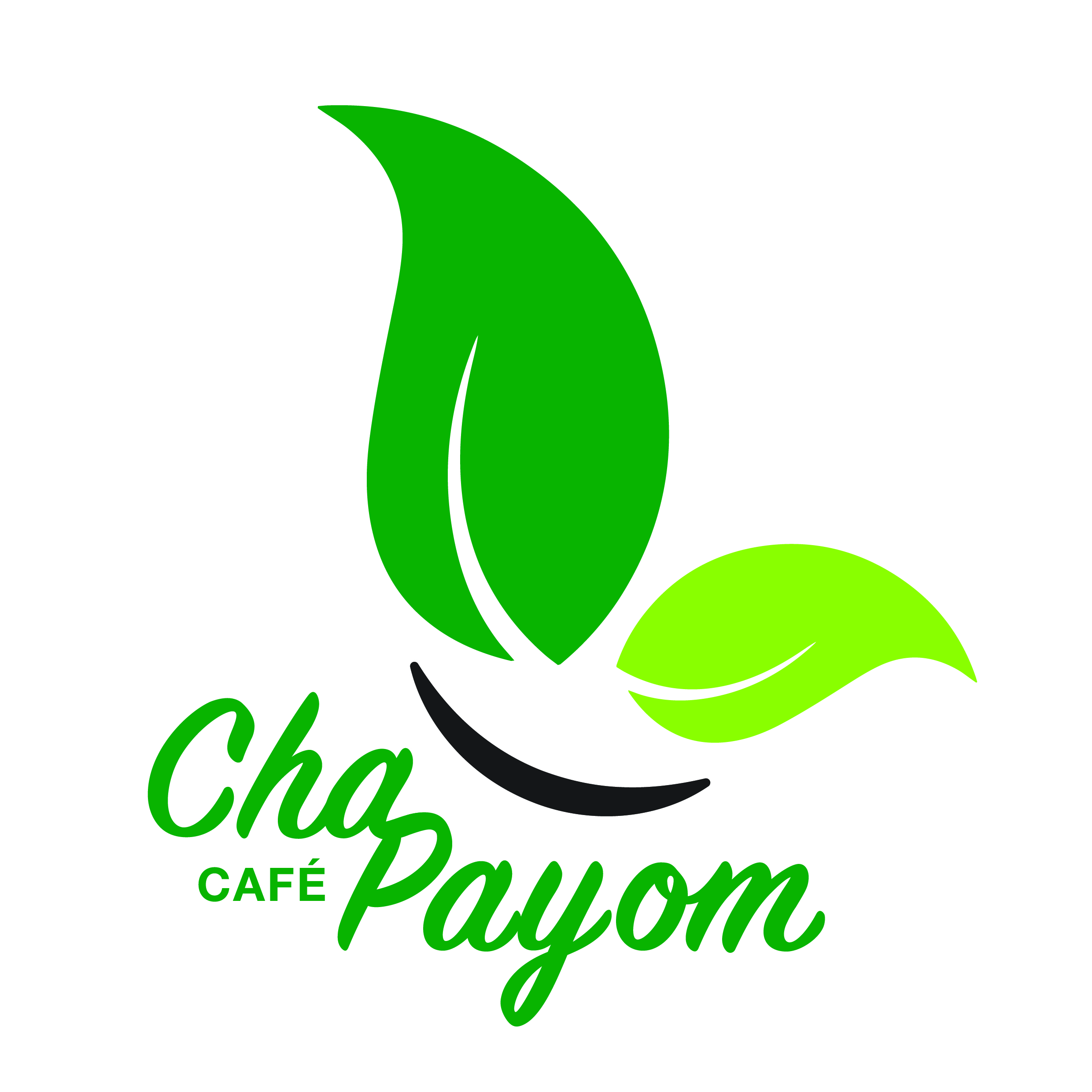 Logo Chapayom-01
